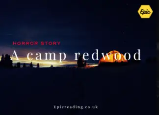 A camp redwood, American horror story 1984 A camp redwood